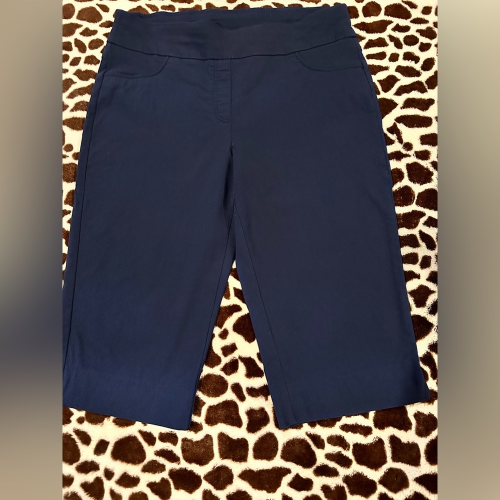 Ruby Rd size 18W Navy Capris. Excellent used condition.No stains, smoke/pet free